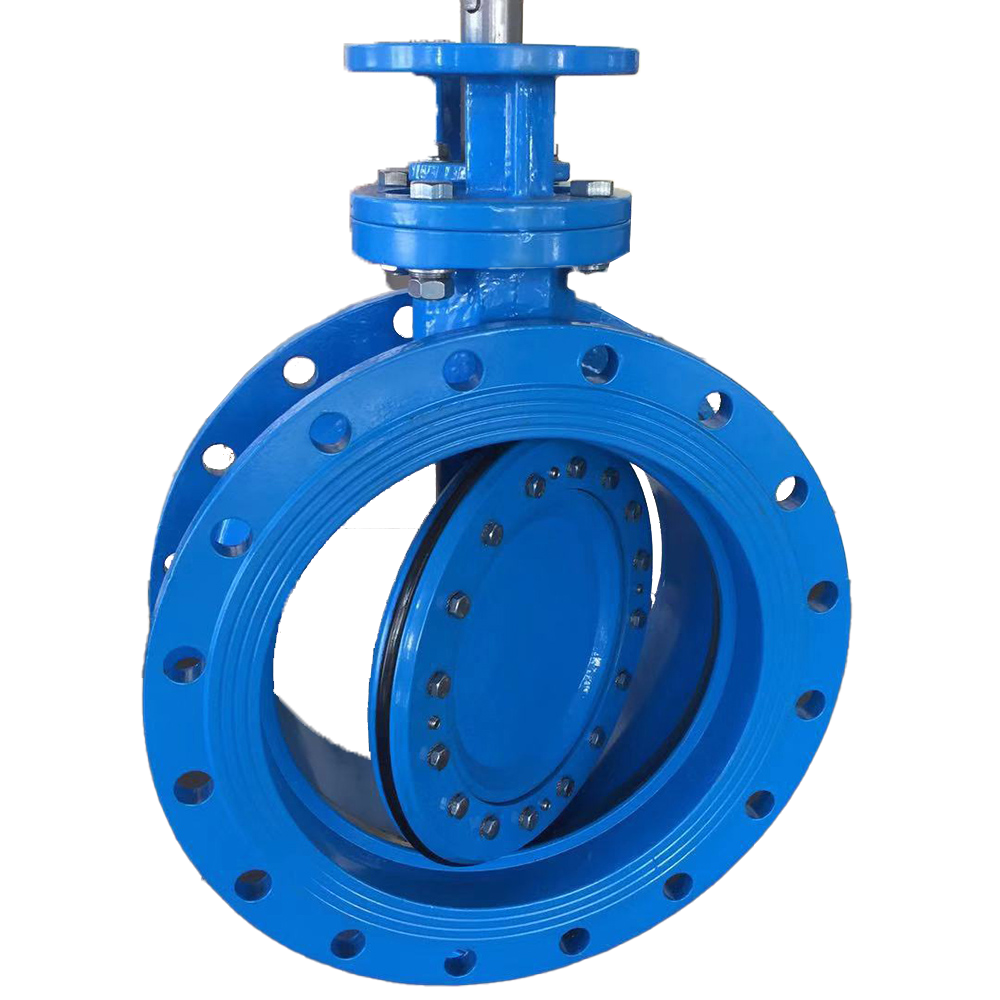 Double offset butterfly valve