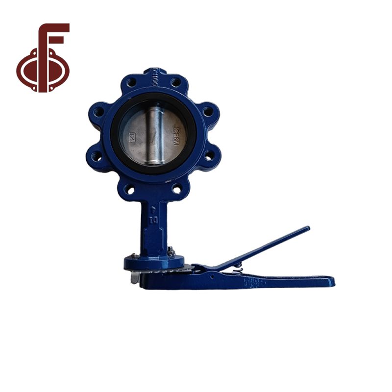 Ductile Iron SS304 ዲስክ Lug አይነት ቢራቢሮ ቫልቮች (3)