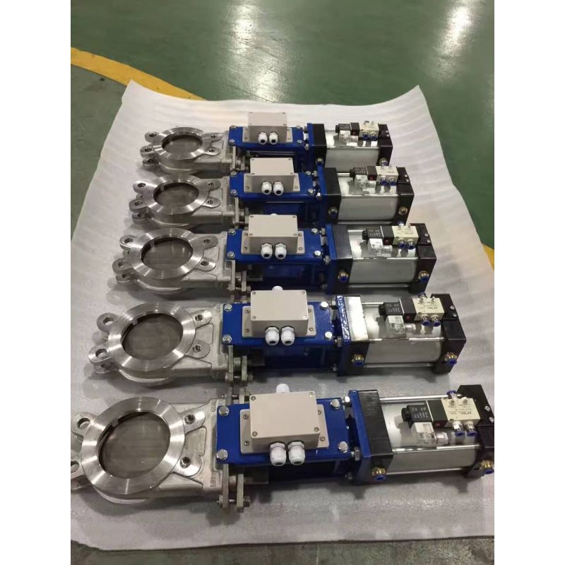 ເຫຼັກກ້າ PN10 16 wafer Support Knife Gate Valve (4)