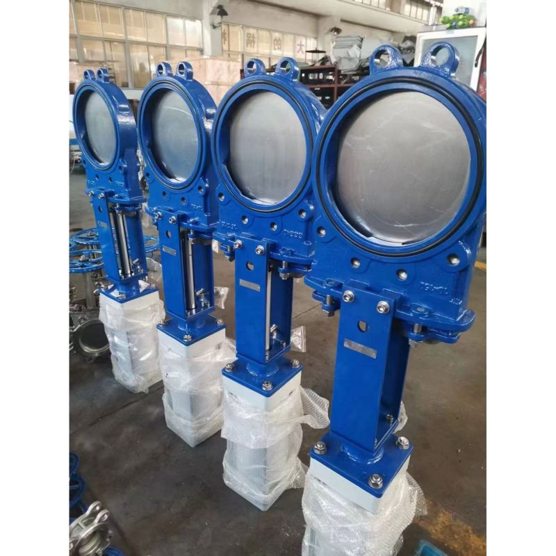 Ductile iron PN10 16 wafer Support Knife Gate Valve (6)