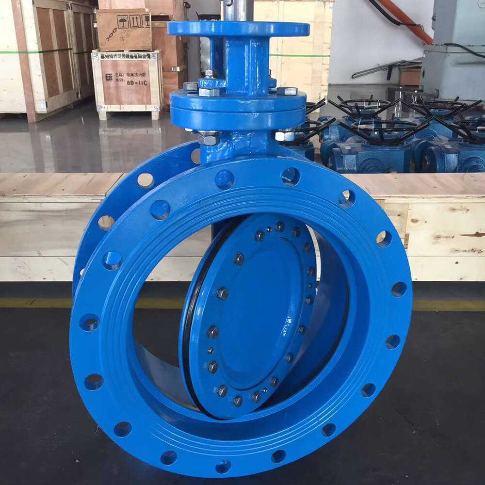 Eccentric Butterfly Valve (118)