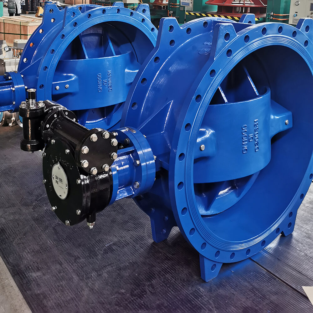 Eccentric Butterfly Valve (69)