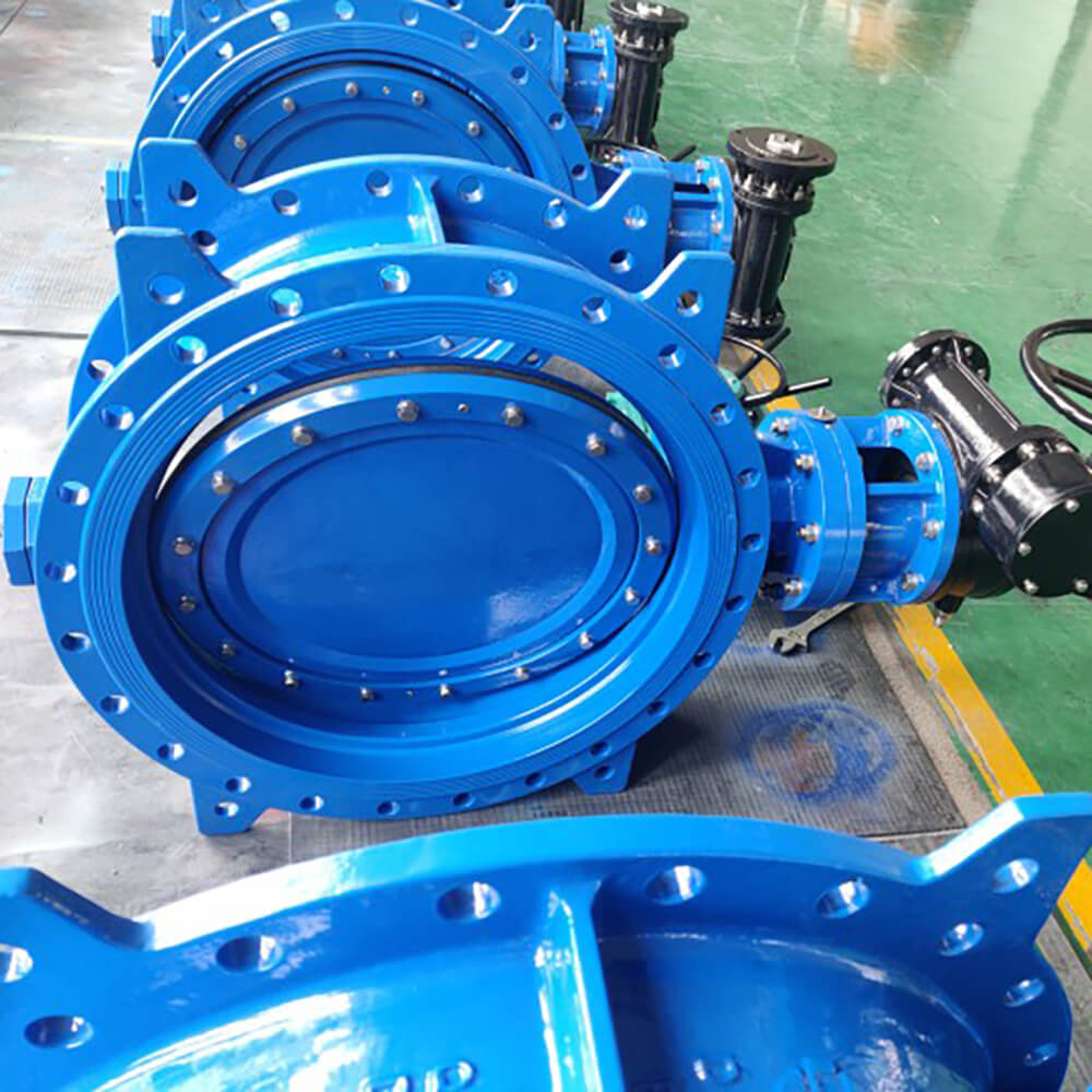 Eccentric Butterfly Valve (89)