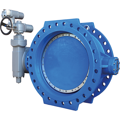 Motlakase Eccentric Butterfly Valve