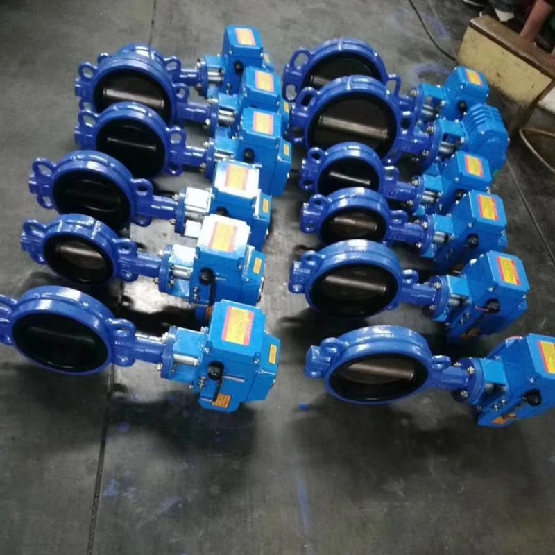 Eletric Actuator Wafer Butterfly Valve (2)