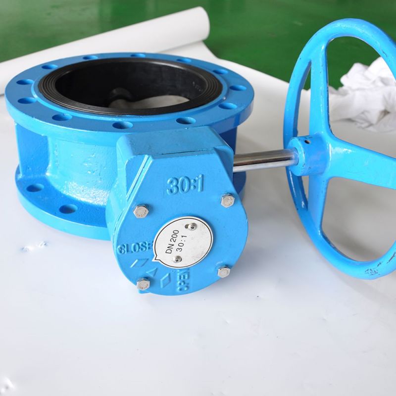 Flange Type Butterfly Valve (12)