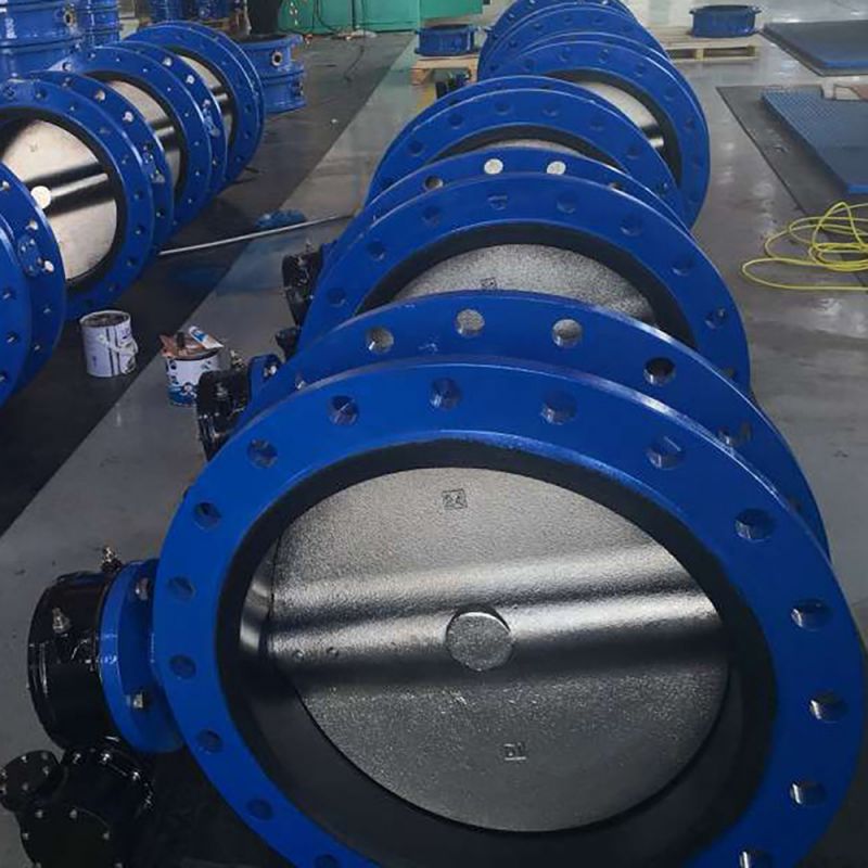 Flange Type Butterfly Valve (29)