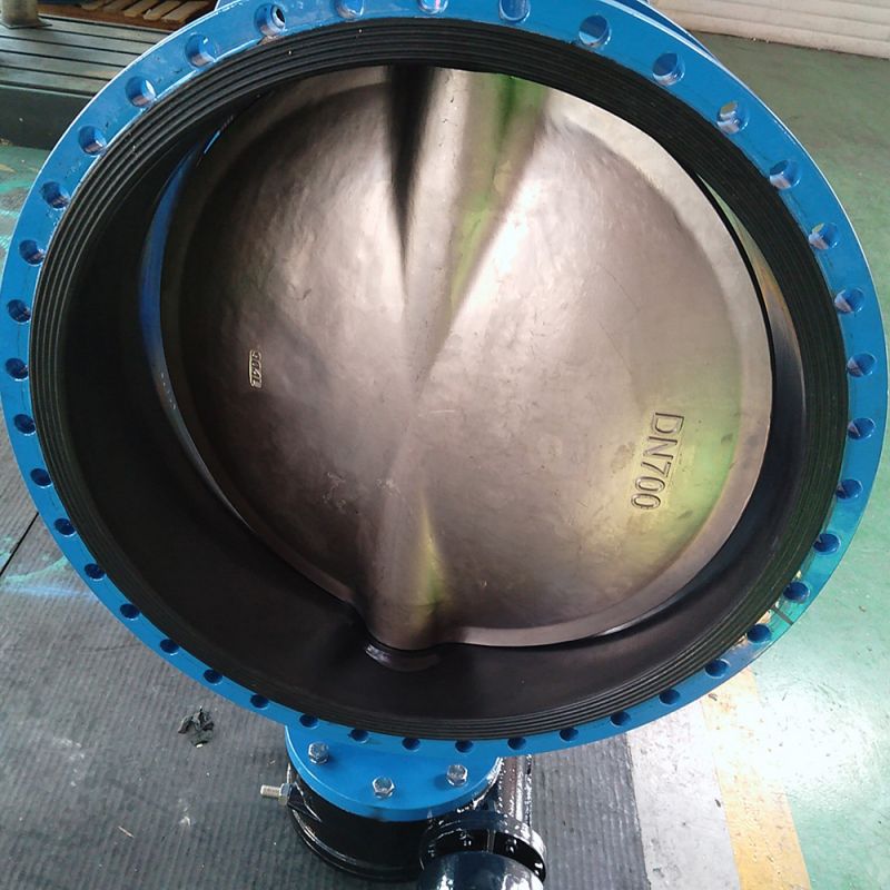 Flange Type Butterfly Valve (30)