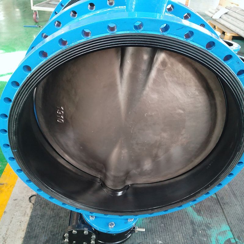 Flange Type Butterfly Valve (31)
