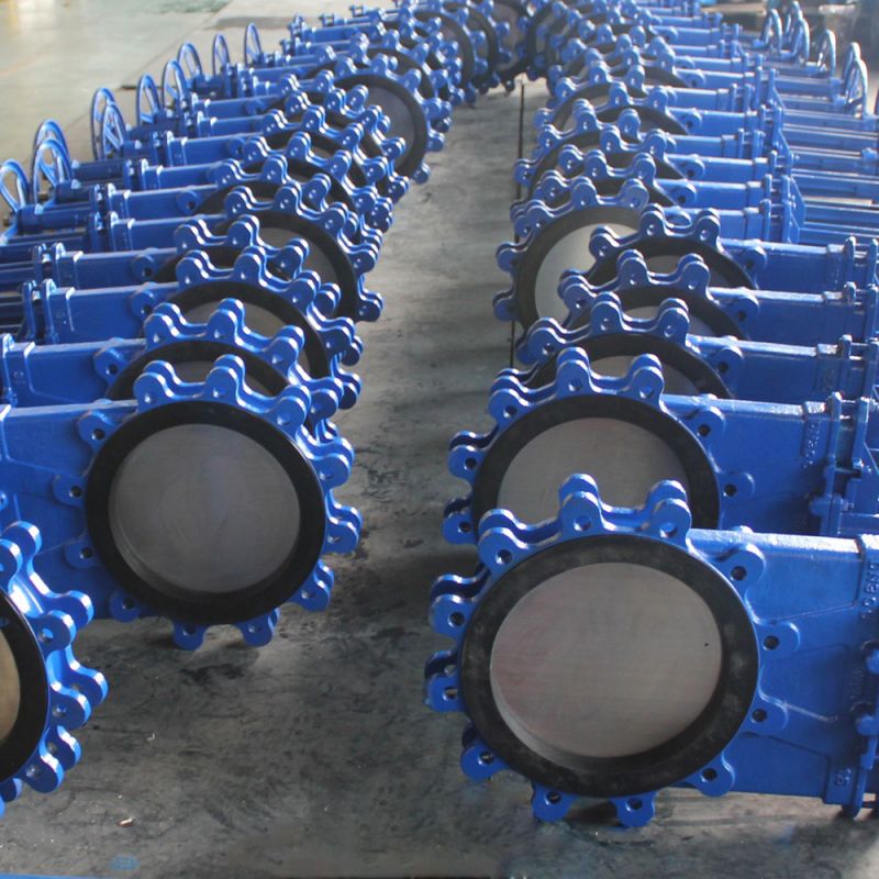 Lug Knife Gate Valve (1)