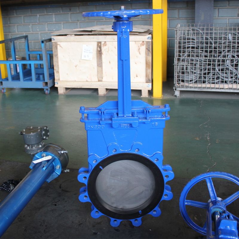 Lug Knife Gate Valve (2)