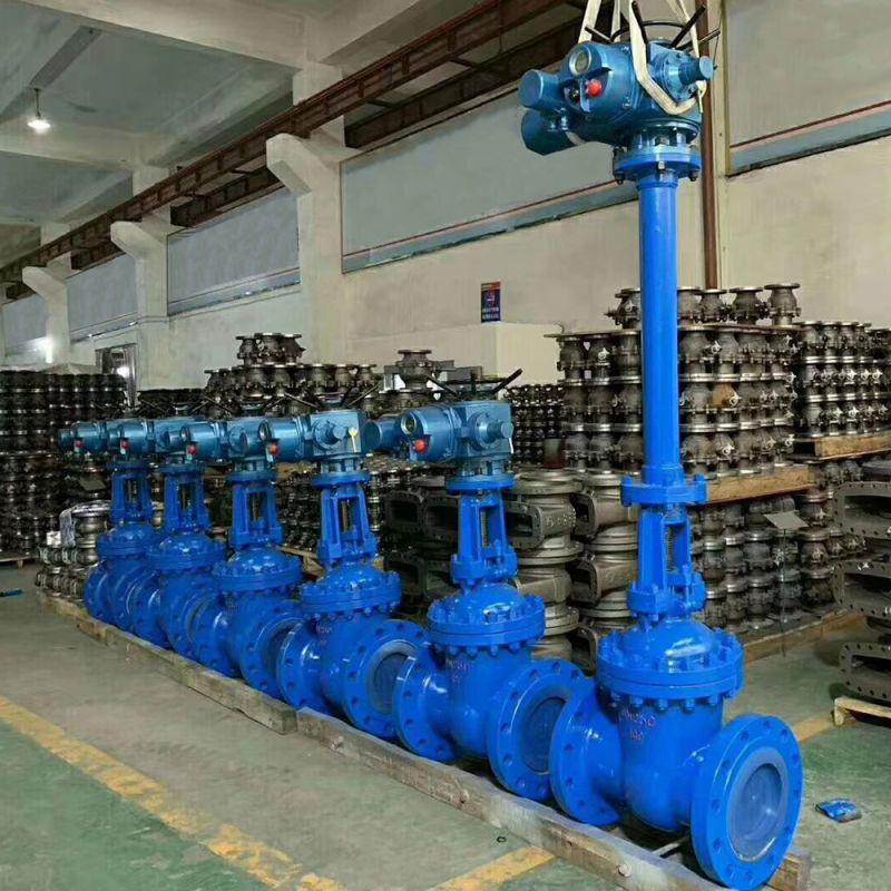 Metal Seal Gate Valve (21)