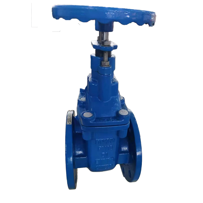 Hlau- rooj- rooj vag-valve-3