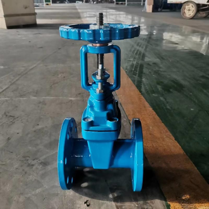 Isingasimuke Stem Gate Valve (18)