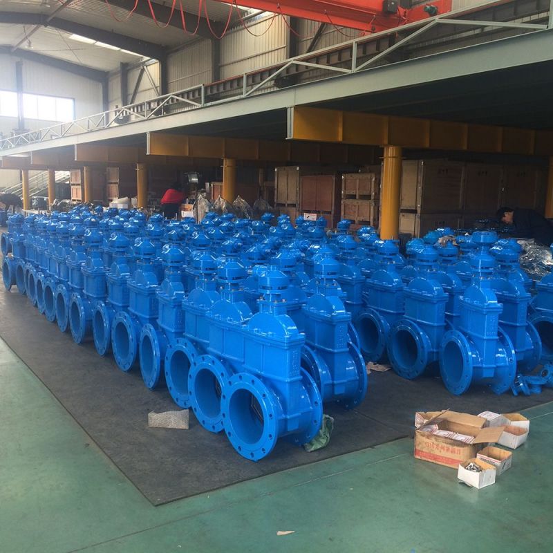 Isingasimuke Stem Gate Valve (38)