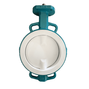 PTFE Full Lined Wafer Butterfly Valve (1)