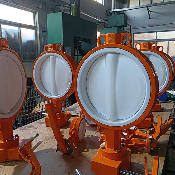 PTFE капталган бабочка клапандары