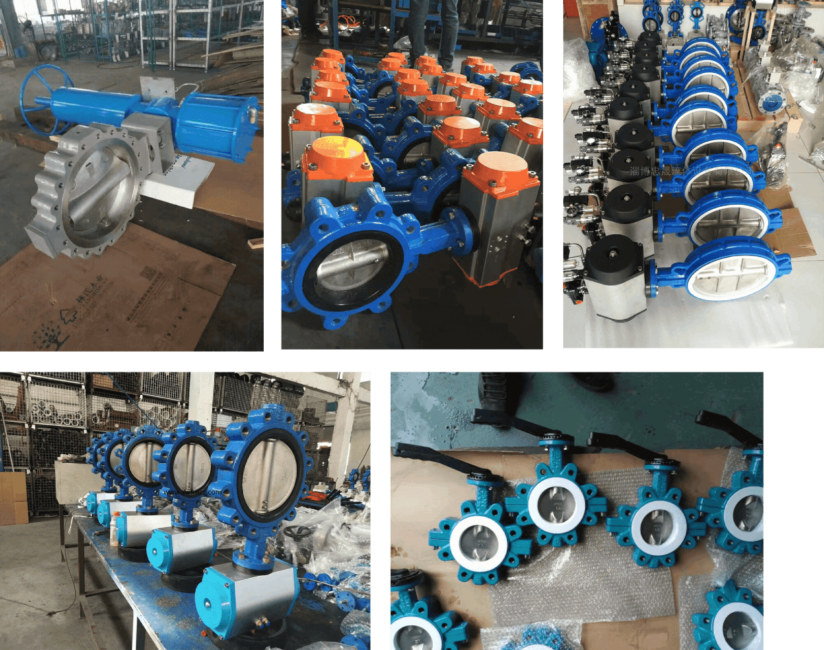 Pneumatic Lug Butterfly valve (1)