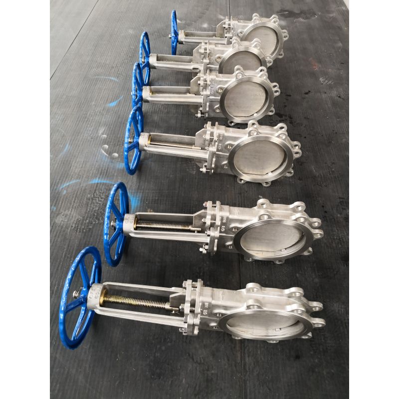 SS PN10 16 Class150 Lug Knife Gate Valve (3)