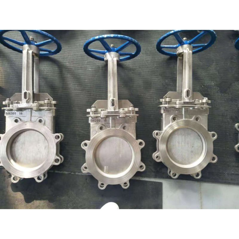 SS PN10 16 Class150 Lug Knife Gate Valve (4)