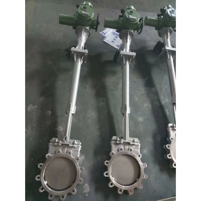 SS PN10 16 Class150 Lug Nife Gate Valve (5)