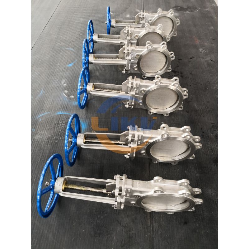 SS PN10 16 Class150 Lug Knife Gate Valve (6)