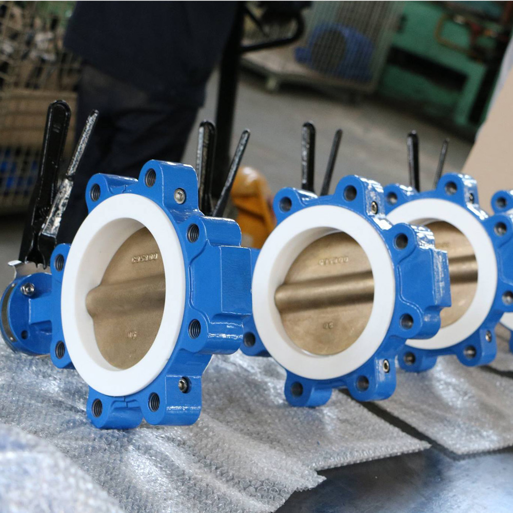 Gutandukanya-Umubiri-PTFE-Umurongo-Ikinyugunyugu-Valve-1