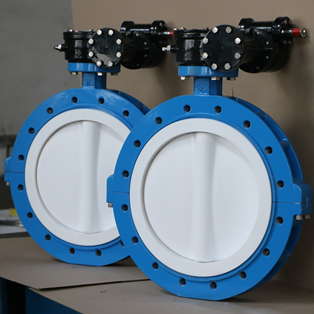 Gutandukanya-Umubiri-PTFE-Umurongo-Ikinyugunyugu-Valve-2