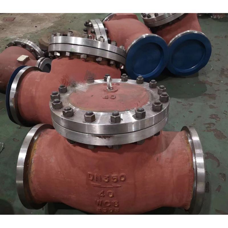 Ubwoko bwa Swing Kugenzura Valve (31)