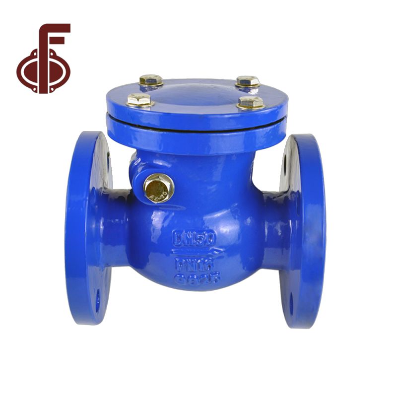 Ubwoko bwa Swing Kugenzura Valve (4)