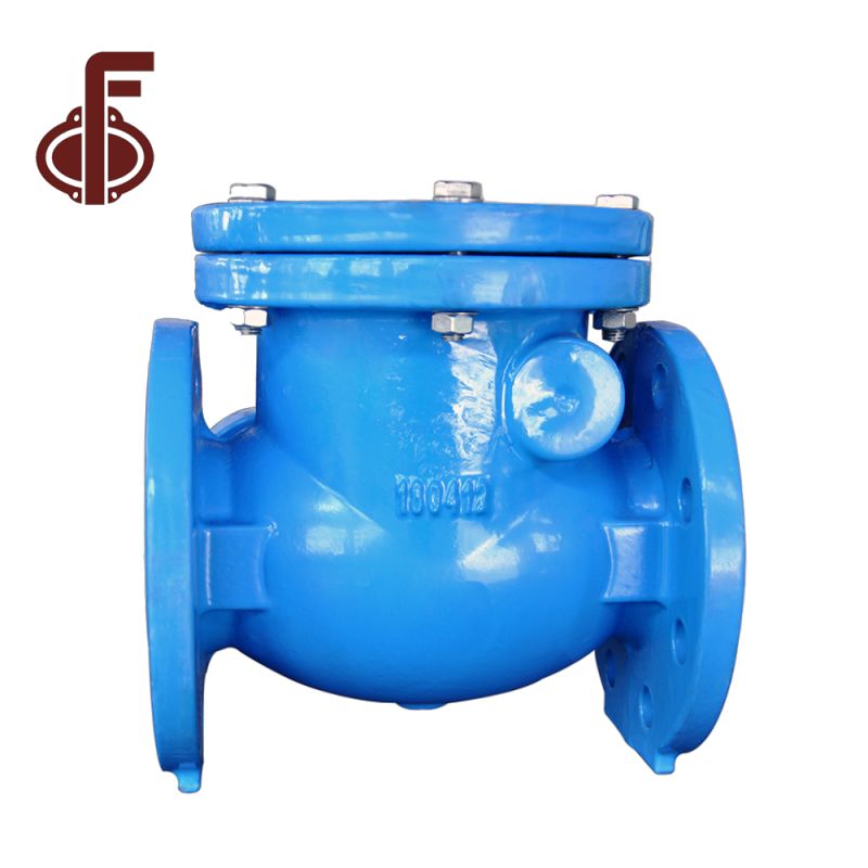 Swing Type Check Valve with Hammer