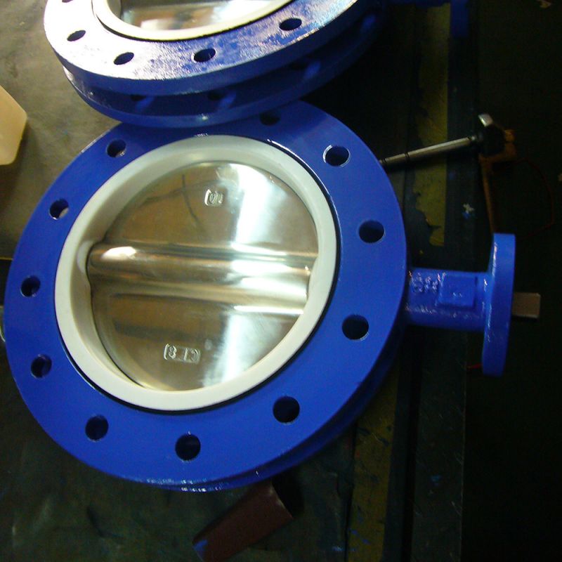 U Type Butterfly Valve (28)