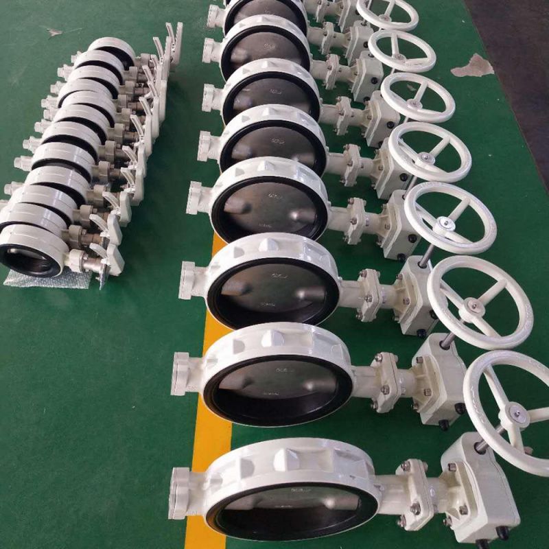 Uri ng Wafer Butterfly Valve (12)