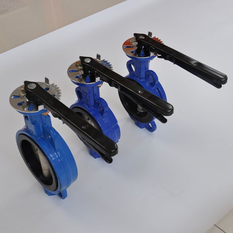 Wafer Type Butterfly Valve (37)