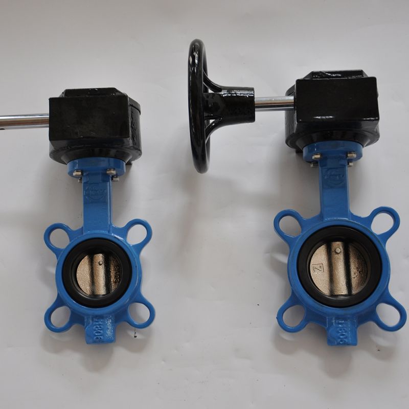 Wafer Type Butterfly Valve (53)