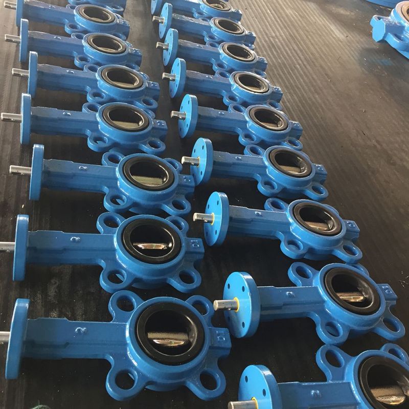 Wafer Type Butterfly Valve (62)