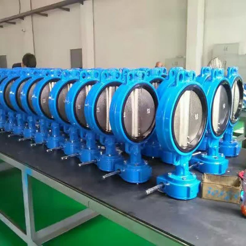 Wafer Type Butterfly Valve (63)