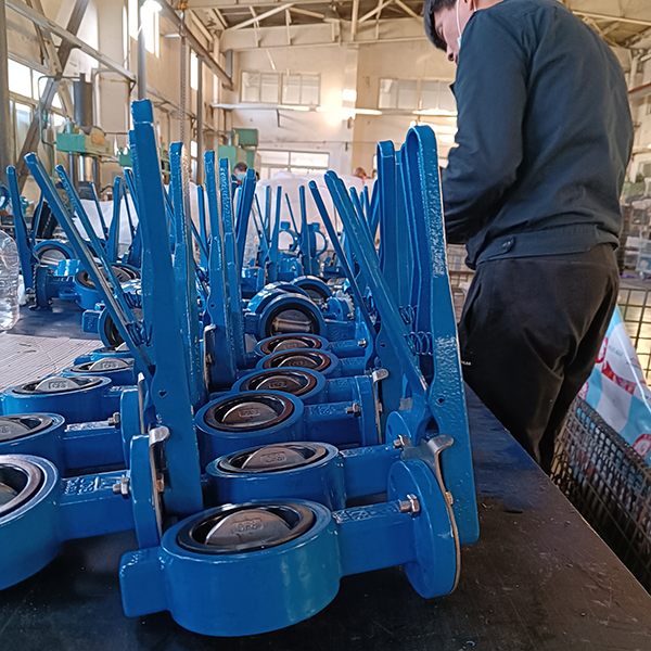 Wafer butterfly valve