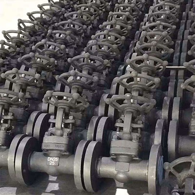 forged rooj vag valve