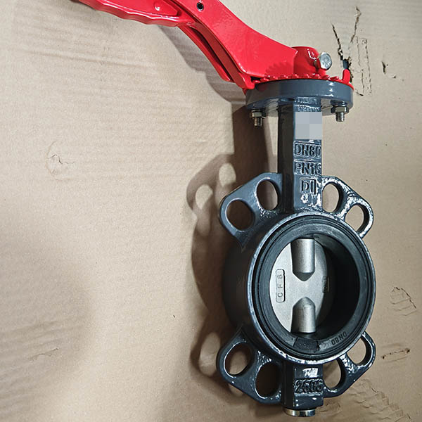 3inch double shaft wafer butterfly valve