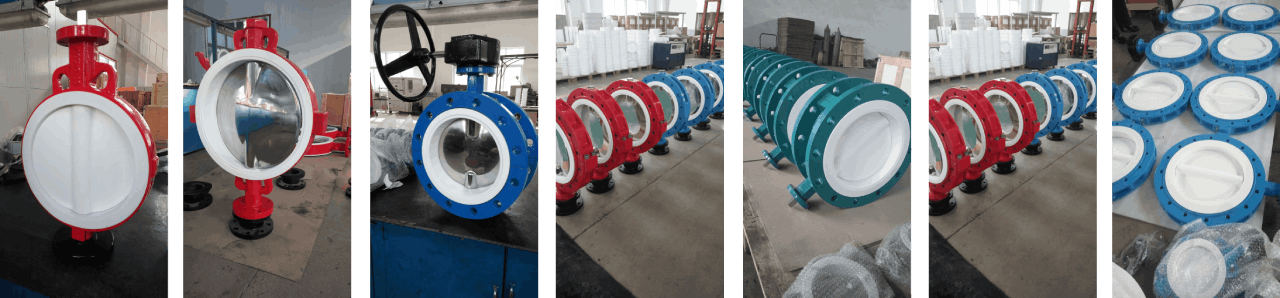 All PTFE Butterfly Valve