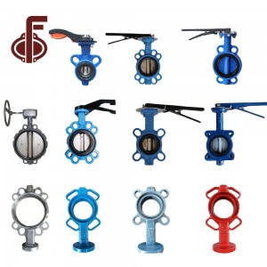 Body Models for Butterfly Valve