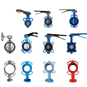 Body Models for Butterfly Valve