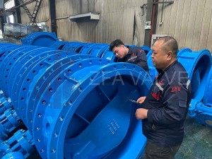 DN1200-Eccrntric-Butterfly-Valve