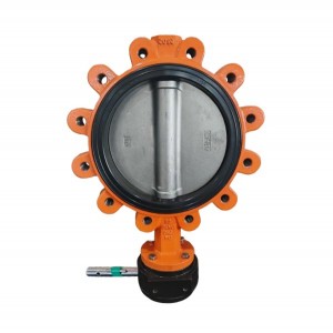 DN250 PN10 Lug butterfly valve