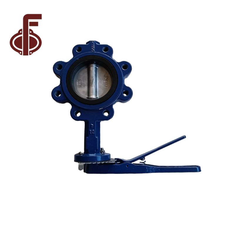 Ductile Iron SS304 Disc Lug Type Butterfly Valves (3)