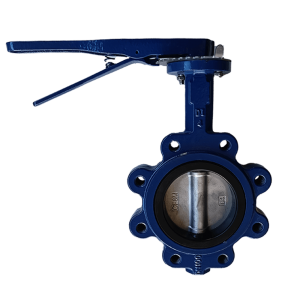 Ductile Iron SS304 Disc Lug Type Butterfly Valves (3)