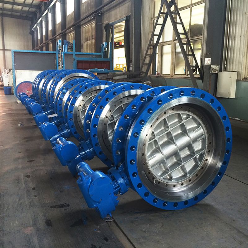 Eccentric Butterfly Valve (1)