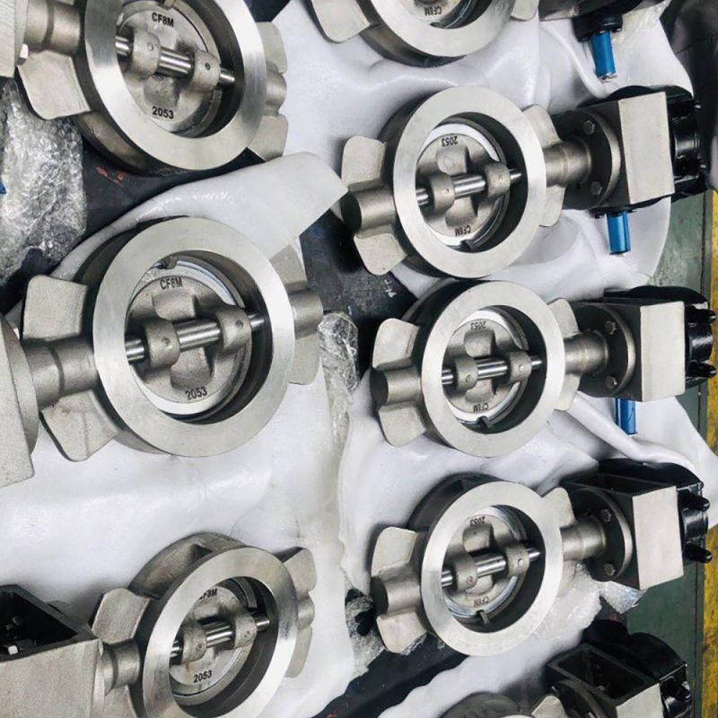 Eccentric Butterfly Valve (17)