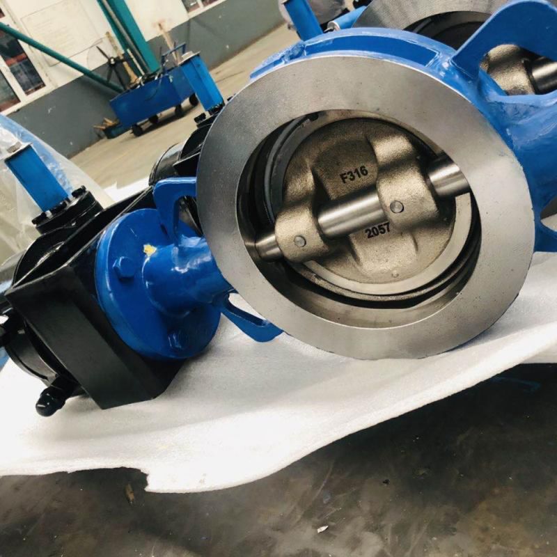 Eccentric Butterfly Valve (18)